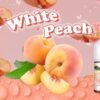 GENESIS系列 30ML 煙油